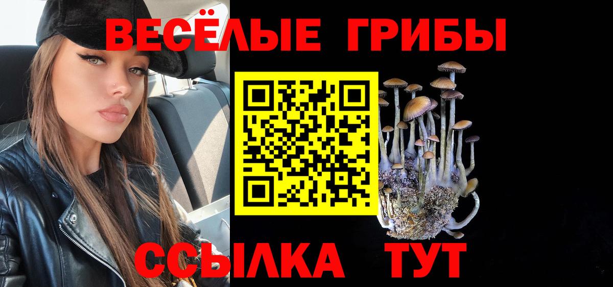 Галлюциногенные грибы Cubensis  Вход с VPN  Карталы 